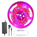 5M SMD5050 Waterproof Full Spectrum LED Plant Grow Strip Light for Greenhouse Aquarium DC12V - EU Plug