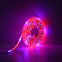 5M SMD5050 Waterproof Full Spectrum LED Plant Grow Strip Light for Greenhouse Aquarium DC12V - EU Plug