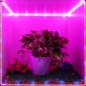 5M SMD5050 Waterproof Full Spectrum LED Plant Grow Strip Light for Greenhouse Aquarium DC12V - EU Plug