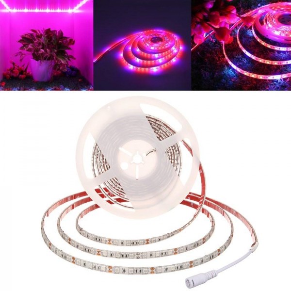 5M SMD5050 Waterproof Full Spectrum LED Plant Grow Strip Light for Greenhouse Aquarium DC12V - EU Plug