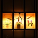 44/50/60 Led Full Spectrum LED Growing Light Plant Growing Lamps for Seedlings for Indoor Plants - US Plug - 44 LED