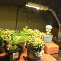 45/50/60W LED Grow Light Lamp Full Spectrum Hydroponic Flower Bloom LED Fitolampy Grow Lights For Hydroponic plant - 88 LED