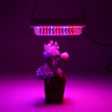 100W LED Greenhouse Garden Hydroponic Plant Grow Light Full Spectrum Growing Plant Grow Light Panel - EU Plug