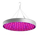 AC85-265V 35W UFO 250LED Grow Light Full Spectrum Growing Lamp for Indoor Plants Flower Seeding Hydroponic Greenhouse - EU Plug