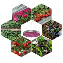 AC85-265V 35W UFO 250LED Grow Light Full Spectrum Growing Lamp for Indoor Plants Flower Seeding Hydroponic Greenhouse - EU Plug