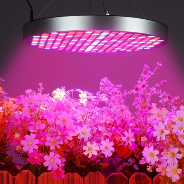 AC85-265V 35W UFO 250LED Grow Light Full Spectrum Growing Lamp for Indoor Plants Flower Seeding Hydroponic Greenhouse - EU Plug