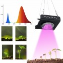 3000W 2600LM 144LED COB Grow Light Full Spectrum Lamp Plant Hydroponics Flower A - Black US Plug