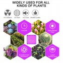 3000W 2600LM 144LED COB Grow Light Full Spectrum Lamp Plant Hydroponics Flower A - Black US Plug