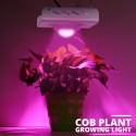 3000W 2600LM 144LED COB Grow Light Full Spectrum Lamp Plant Hydroponics Flower A - Black US Plug