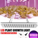 800W LED Grow Light Full Spectrum Growing Plant Lamp For Hydroponics Veg Indoor - US Plug