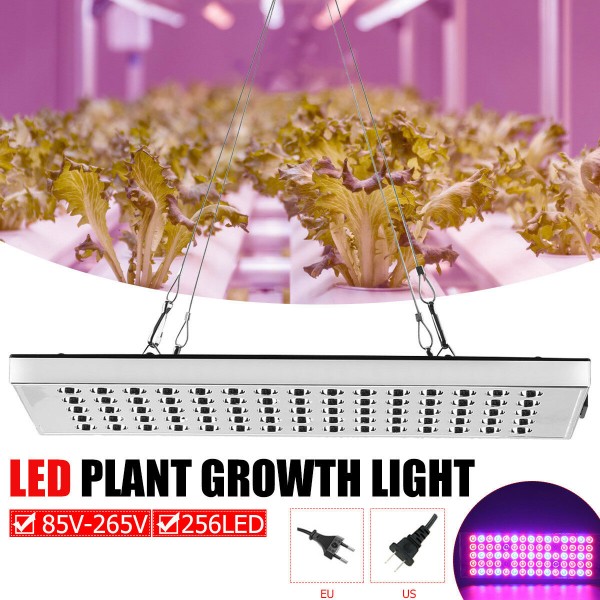 800W LED Grow Light Full Spectrum Growing Plant Lamp For Hydroponics Veg Indoor - US Plug