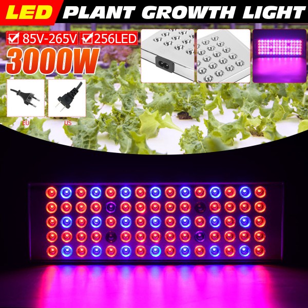 800W LED Grow Light Full Spectrum Growing Plant Lamp For Hydroponics Veg Indoor - US Plug
