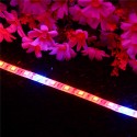 DC12V 5PCS 50CM SMD5050 LED Strip Grow Light Hydroponic Indoor Veg Plant Lamp Kit + Power Adpater - US Plug