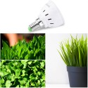 LED Phyto Lamps Full Spectrum Grow Light LED Bulbs Seedling LED Plant Growing Lamp Support E14 E27 for Greenhouse Planting - E14