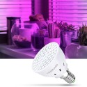 LED Phyto Lamps Full Spectrum Grow Light LED Bulbs Seedling LED Plant Growing Lamp Support E14 E27 for Greenhouse Planting - E14