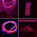 DC12V 5PCS 50CM SMD5050 LED Strip Grow Light Hydroponic Indoor Veg Plant Lamp Kit + Power Adpater - US Plug