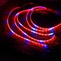 DC12V 5PCS 50CM SMD5050 LED Strip Grow Light Hydroponic Indoor Veg Plant Lamp Kit + Power Adpater - US Plug