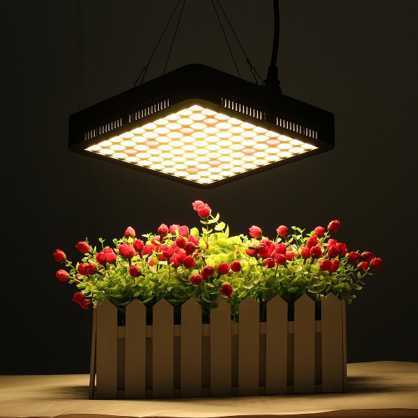 300W LED Grow Light Full Spectrum Hydroponic Indoor Plant Flower Growing Bloom Lamp AC85-265V - UK Plug