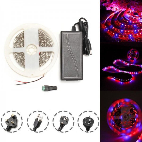 DC12V 5M Red:Blue 3:1 Waterproof 5050 Full Spectrum Grow LED Strip Lights kit for Plant  - UK Plug