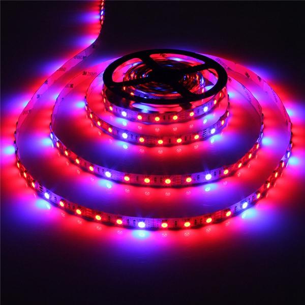 1M 2M 3M 4M 5M 3:1 5050 SMD LED Non-waterproof Hydroponic Plant Grow Strip Light DC12V - 1M