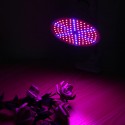15W 20W 26W E27 LED Bulb Grow Light for Indoor Flower Plant Growth Seedling US Plug AC85-265V - 20W Lamp