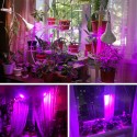 15W 20W 26W E27 LED Bulb Grow Light for Indoor Flower Plant Growth Seedling US Plug AC85-265V - 20W Lamp