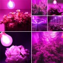 E27 B22 6W A60 Non-Dimmable COB LED Plant Grow Light Bulb for Hydroponics Greenhouse AC85-265V - B22
