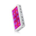 Bigin Double Chips LED Grow Light 600W/800W/1200W Full Spectrum Grow Lamp for Greenhouse Hydroponic Indoor Plants - EU Plug 1200