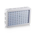 Bigin Double Chips LED Grow Light 600W/800W/1200W Full Spectrum Grow Lamp for Greenhouse Hydroponic Indoor Plants - EU Plug 1200