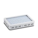 Bigin Double Chips LED Grow Light 600W/800W/1200W Full Spectrum Grow Lamp for Greenhouse Hydroponic Indoor Plants - EU Plug 1200