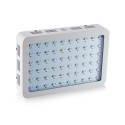 Bigin Double Chips LED Grow Light 600W/800W/1200W Full Spectrum Grow Lamp for Greenhouse Hydroponic Indoor Plants - EU Plug 1200