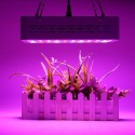 50W Full Spectrum LED Grow Light Hydroponic Indoor Veg Bloom Plant Lamp - US Plug