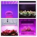 50W Full Spectrum LED Grow Light Hydroponic Indoor Veg Bloom Plant Lamp - US Plug
