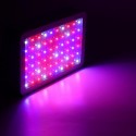 50W Full Spectrum LED Grow Light Hydroponic Indoor Veg Bloom Plant Lamp - US Plug