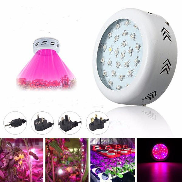 70W UFO LED Full Spectrum Grow Light Lamp for Plants Hydroponic Indoor Flower - EU Plug