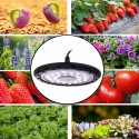 300W LED Grow Light Full Spectrum Hydroponics Greenhouse Grow Lamp Plant Bulb   