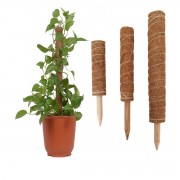 4 Pack Coir Totem Po...