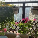 Garden Intelligent Automatic Watering Controller Indoor Plants Drip Irrigation Device Indoor Water Pump - 2 Heads