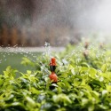 45Pcs 50ft/15m Drip Irrigation Kit  Garden Irrigation System with Distribution Tubing Hose Adjustable Nozzles Plant Watering Kit