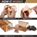 2PCS Godmorn plastic trap cages each set of 2 brushed neutral boxes