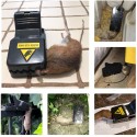 2/4/6 PCS Reusable Rat Catching Mouse Traps Bait Snap Spring Rodent Catcher Pest Controller - 2Pcs