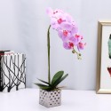 Artificial Plant Butterfly Orchid Flower Pot Home Wedding Party Home Decorations -  Pink