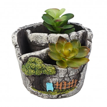 10 Styles Succulent ...