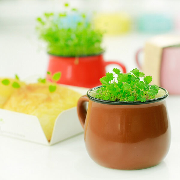 Ceramics DIY Mini Coffee Cup Potted Plant Office Desktop Plant Decor -  Pink