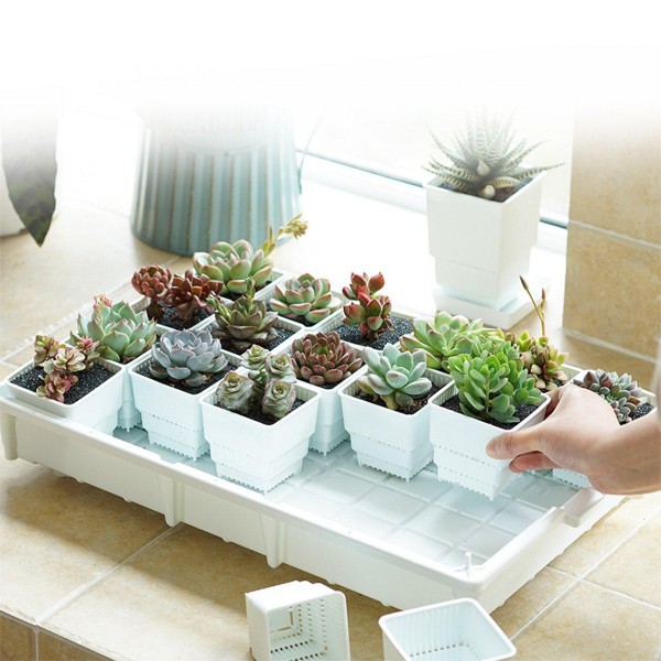 PP Plant Tray Succulents Seedling Drain Balcony Growing Holder Nursery Garden Decorations - White