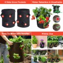 4/6pcs Strawberry Grow Bags Growing Pot 8 Side Grow Pockets Large 10 Gallon - #1