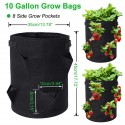 4/6pcs Strawberry Grow Bags Growing Pot 8 Side Grow Pockets Large 10 Gallon - #1