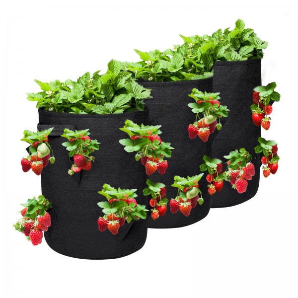 Non-woven Fabric Strawberry Plating Bag Plant Grow Bag