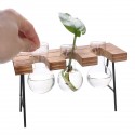 Ball Shape Glass Vase Plant Hydroponic Container Flower Bottle Table Desk Decor with Wooden Shelf Stand - #5