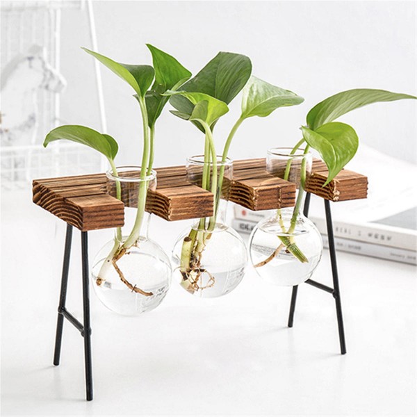 Ball Shape Glass Vase Plant Hydroponic Container Flower Bottle Table Desk Decor with Wooden Shelf Stand - #5